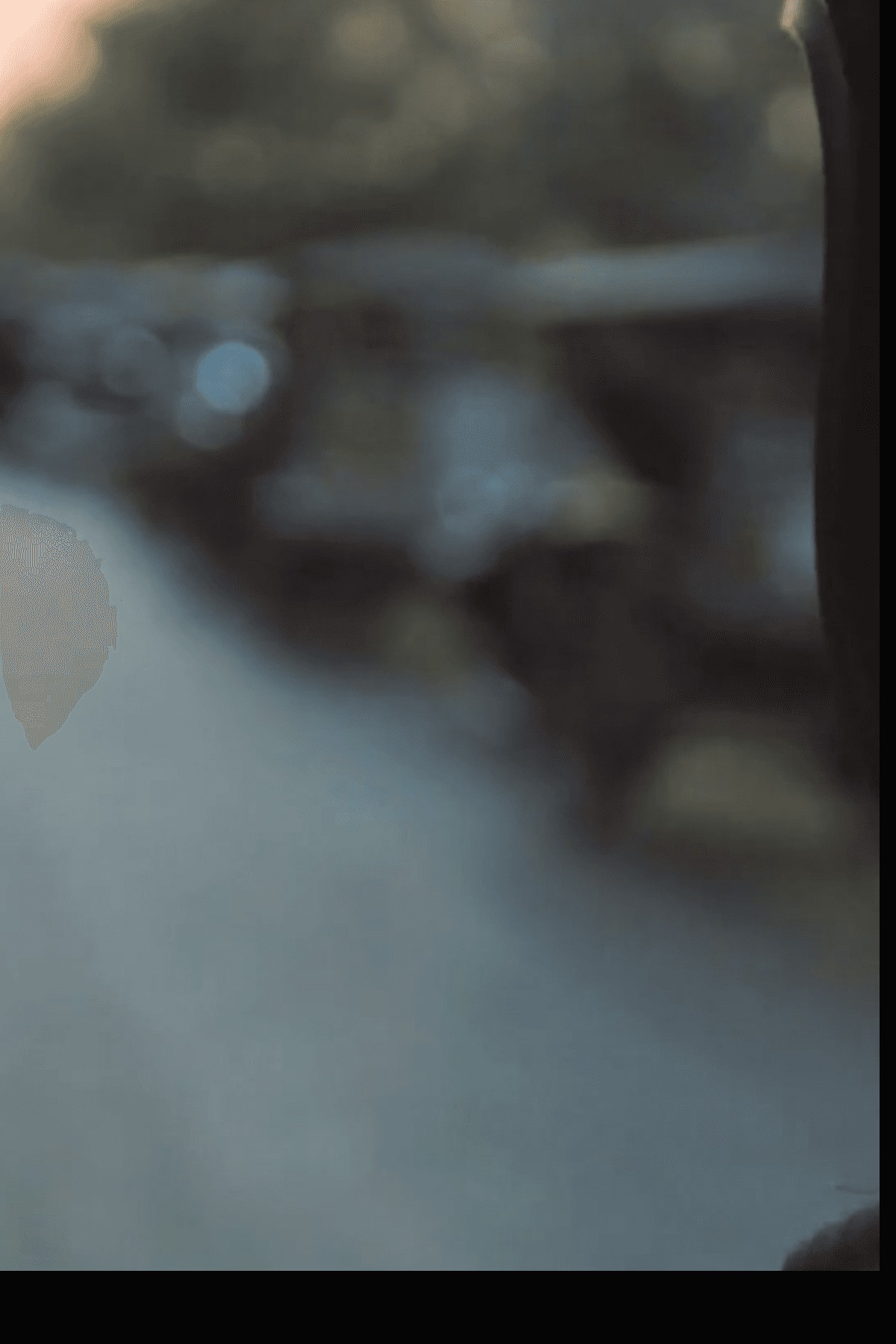 Poster still for Asia Punks.