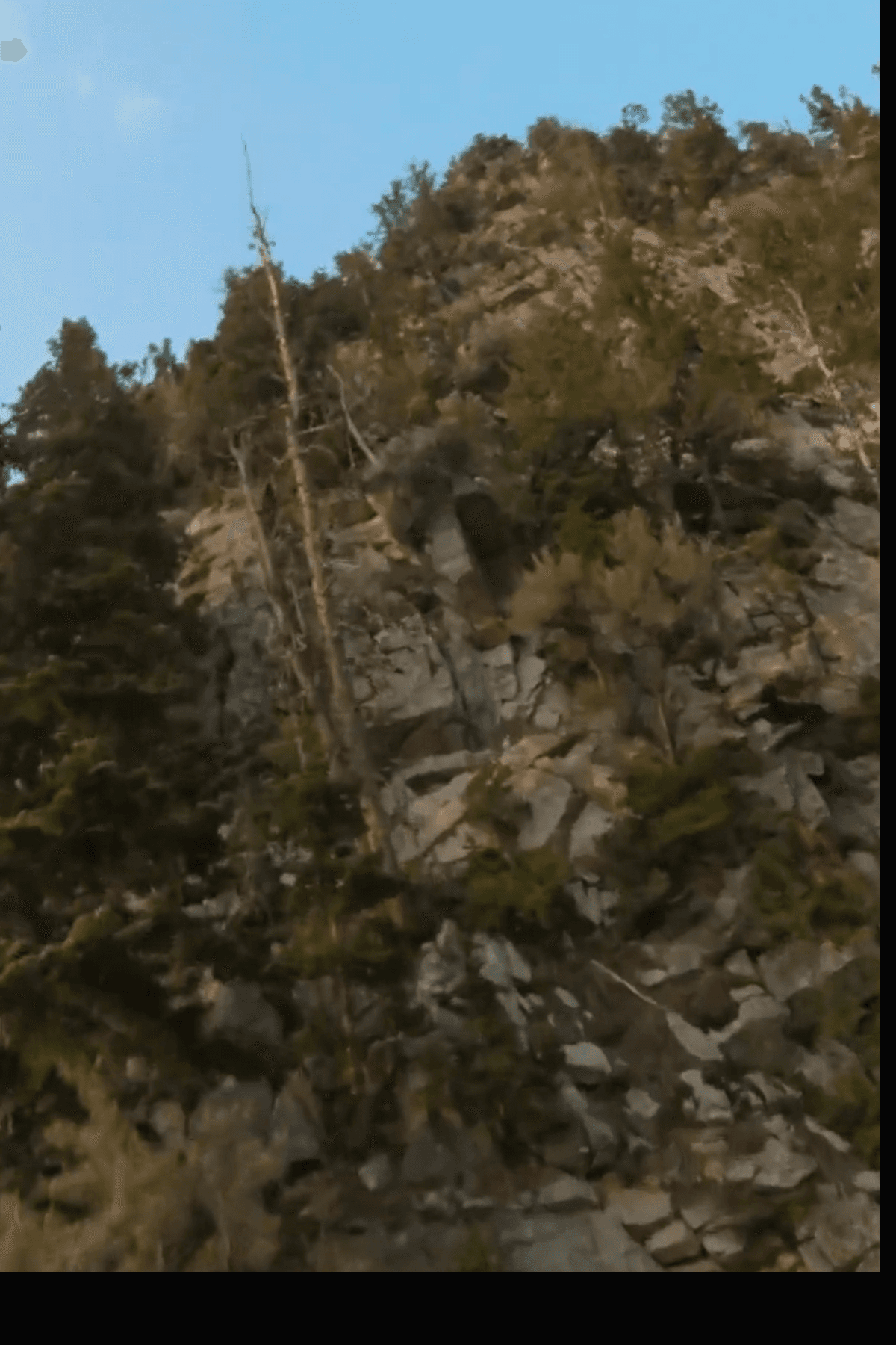 Poster still for Little Cottonwood Canyon.