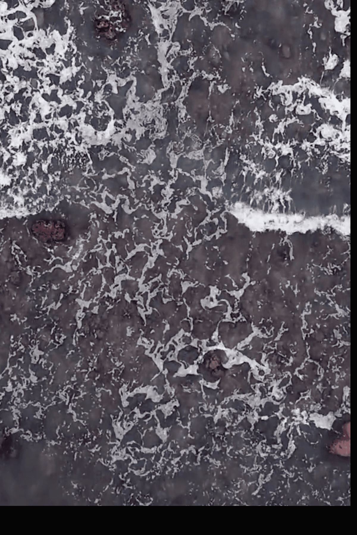 Poster still for The Tropics.