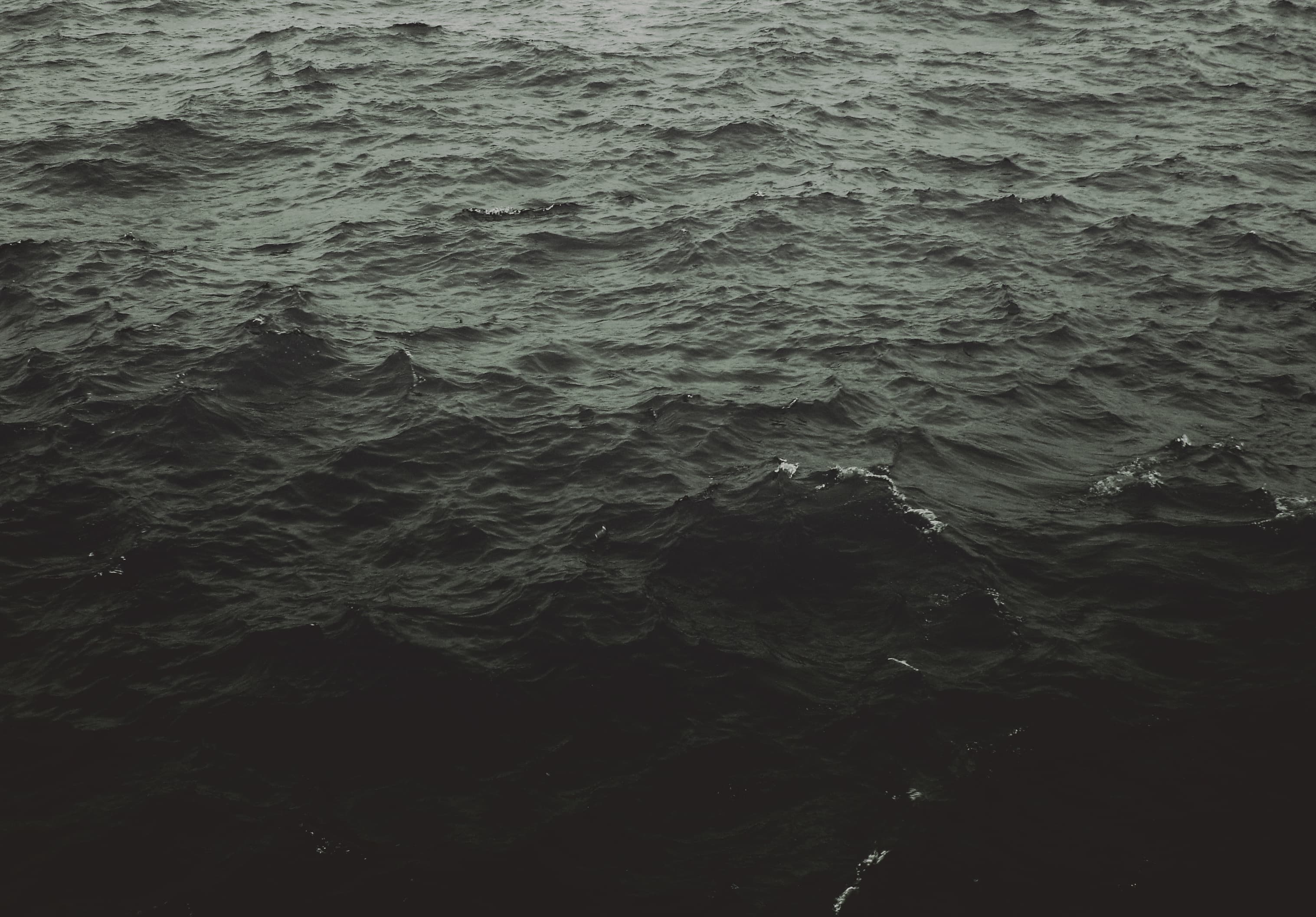 Fishing documentary clip.